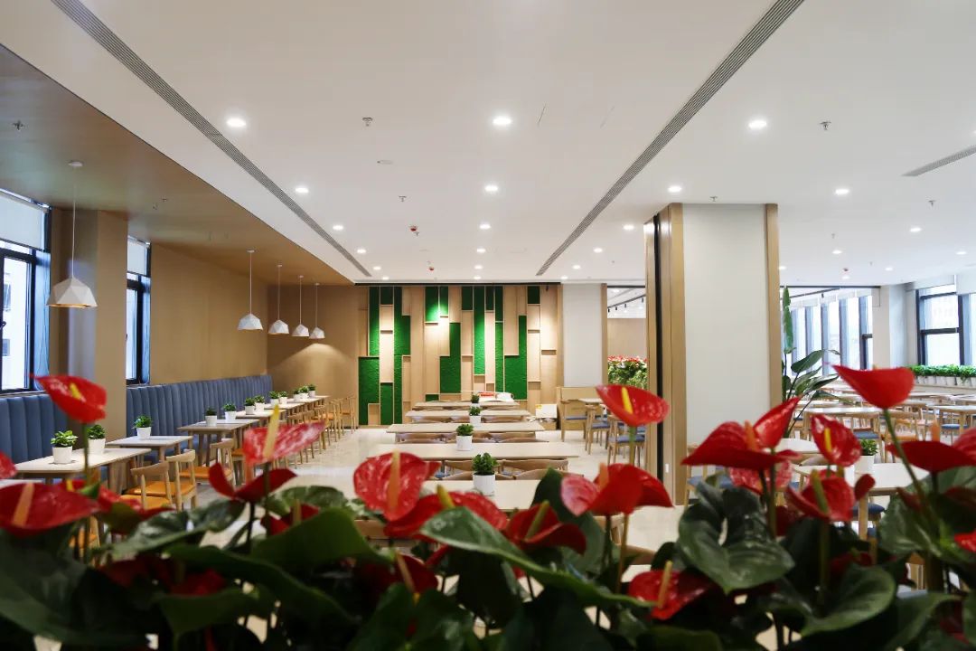 6.29業(yè)主大廈-馮鵬攝 (18).jpg