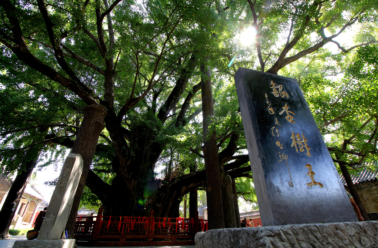 1680267648920095091.png 微信截圖_20230331205811.png