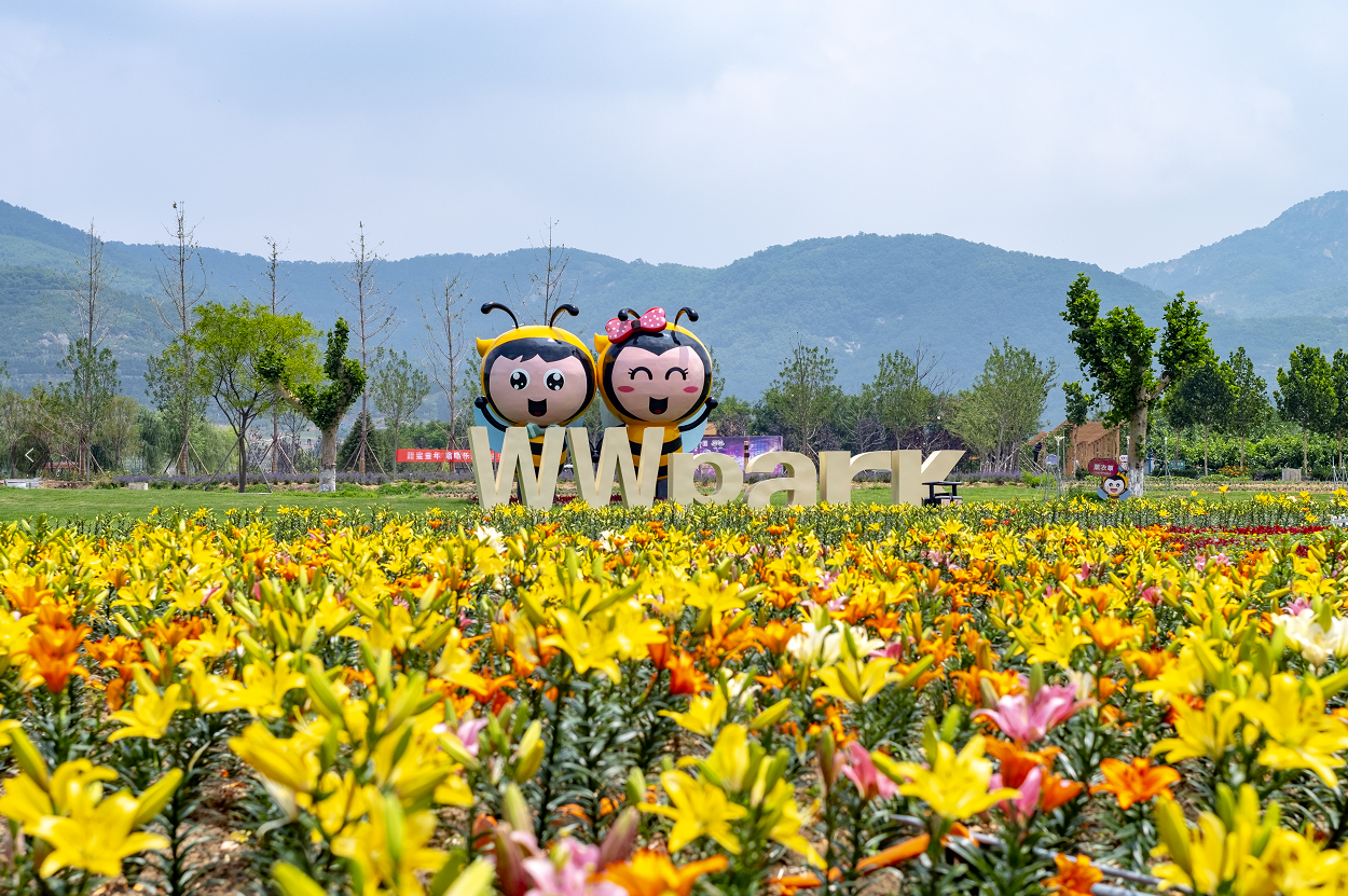 1680267662401025433.png 微信截圖_20230331205948.png