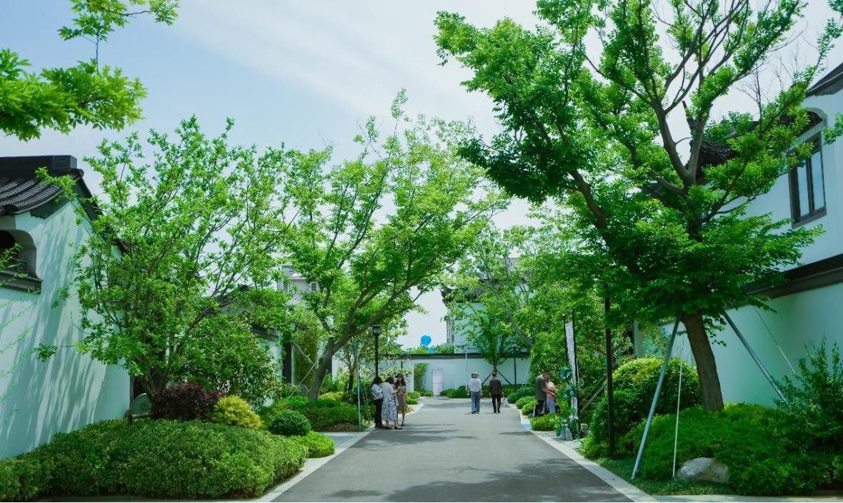 1717397886641090293.jpg 7.jpg