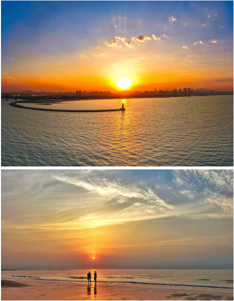 1750229776295047052.png image.png