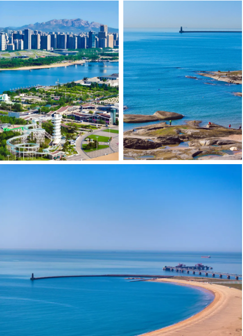 1750229834139078718.png image.png