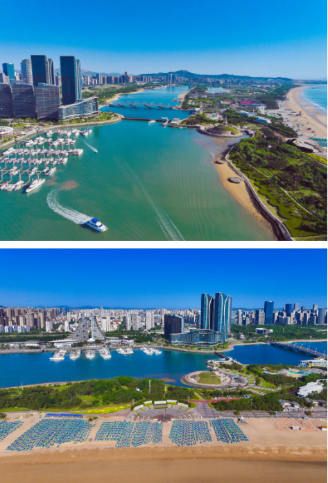 1750229900223032471.png image.png