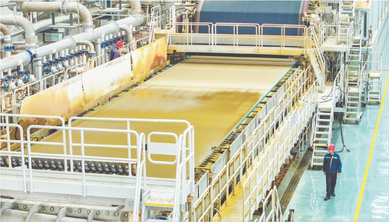 1769955522200052247.jpg A01_6819.jpg