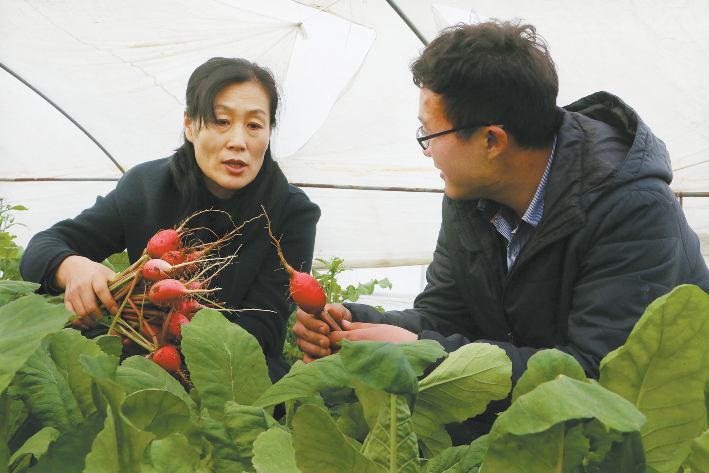 做“良心農(nóng)業(yè)”