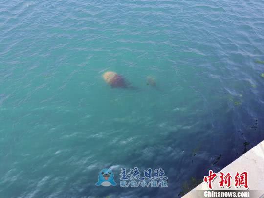 171004210094.jpg 53.jpg