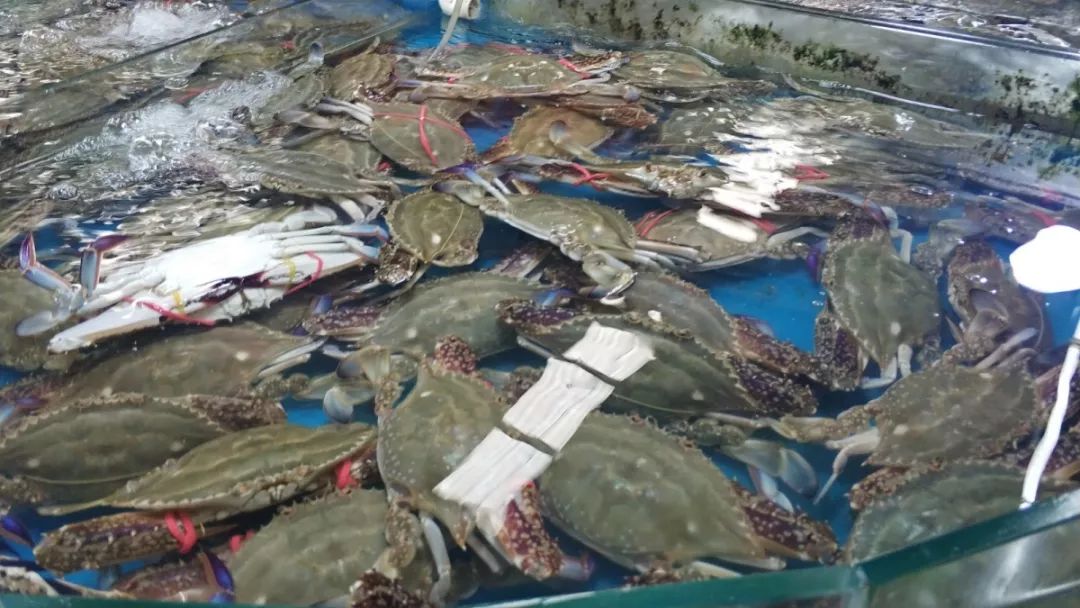 微信圖片_201908312219244.jpg 640?wx_fmt=jpeg