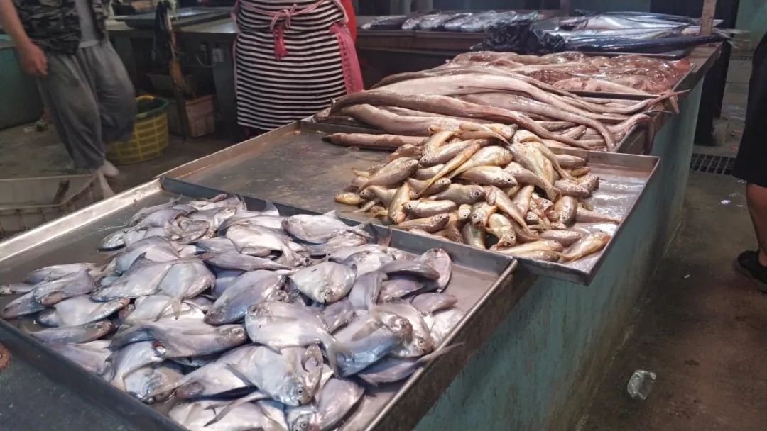 微信圖片_201908312219243.jpg 640?wx_fmt=jpeg