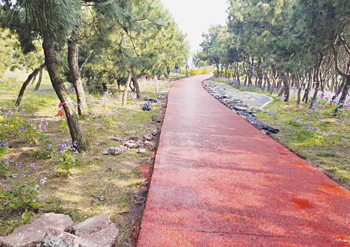 071717260783.jpg 燈塔廣場至夢幻海灘(7號門)段 (4).jpg