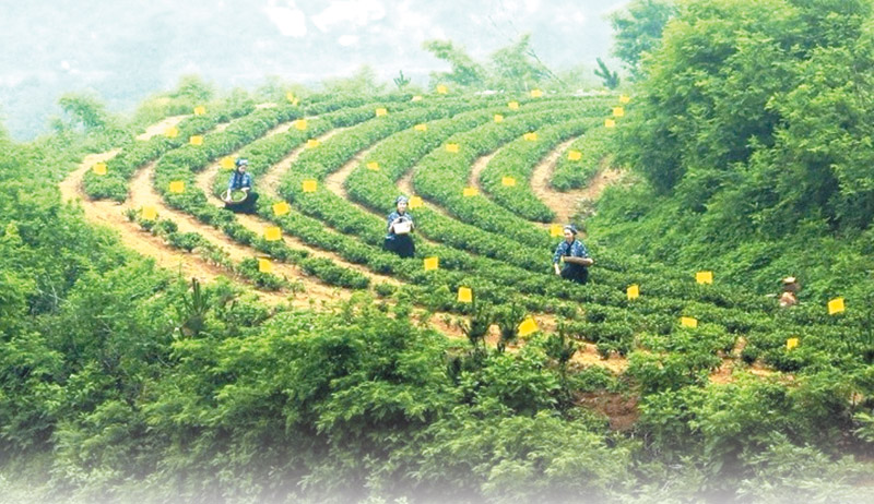 161050080472.jpg ck11160801副本1.jpg