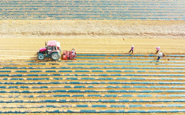 田間地頭春耕忙