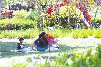 草坪經濟 持續升溫